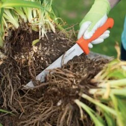 Leonard Wavy Edge Stainless Steel Cut-All Knife, 8-Inch Blade -Garden Tools 4041t 6