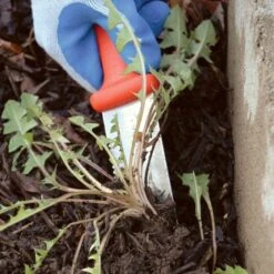 Classic Stainless Steel Soil Knife By A.M. Leonard, 6in Dual Edged Blade, Lifetime Warranty -Garden Tools 4750 9