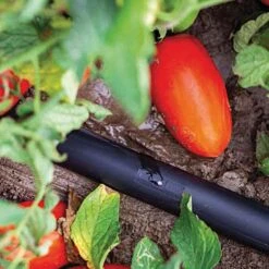 Irritec P1 Light 8-Mil Dripline, 1,000 Feet -Garden Tools 98601 2