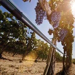 Irritec P1 Light 8-Mil Dripline, 1,000 Feet -Garden Tools 98601 3