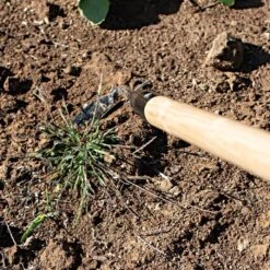 Leonard Cape Cod Weeder With 60" Wood Handle -Garden Tools acw60 3