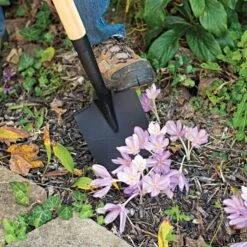 Leonard Floral Shovel Straight Handle 9 Leonard Floral Shovel Straight Handle -Garden Tools afs210 4