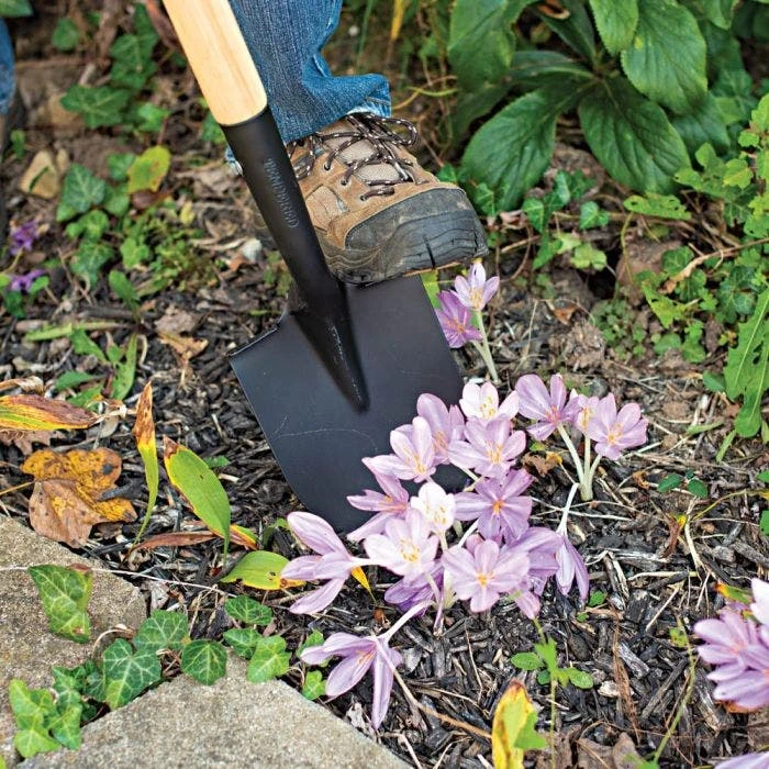 Leonard Floral Shovel Straight Handle 5 Leonard Floral Shovel Straight Handle - Image 5