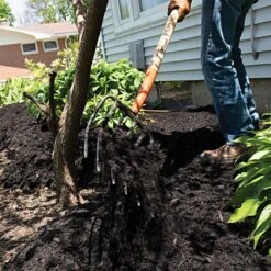 Leonard 6-Tine Forged Steel Manure Fork With 54-Inch Straight Handle -Garden Tools amf6 5 1