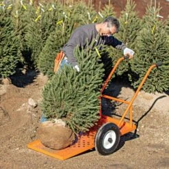 Leonard Flatbed 2-Wheel Nursery Cart, 2ft X 4ft Low Deck, 850 Lb Capacity -Garden Tools f2448lw 5 1