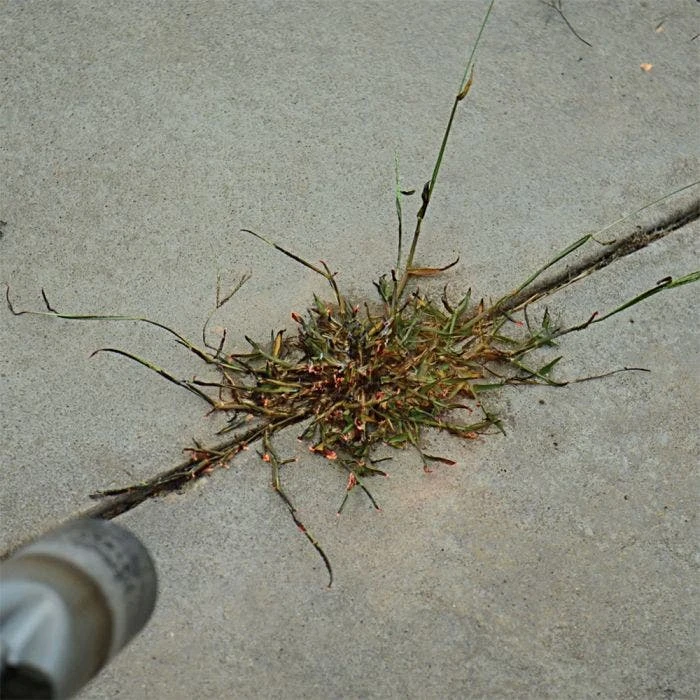 Red Dragon; 400,000 BTU Torch Kit 4 Red Dragon; 400,000 BTU Torch Kit - Image 4