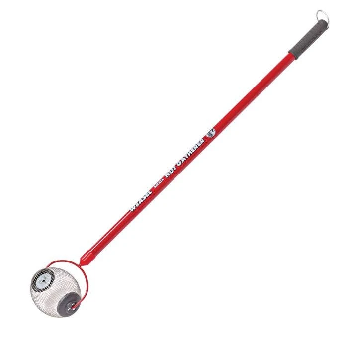 Small Weasel Nut Gatherer 2 Small Weasel Nut Gatherer - Image 2