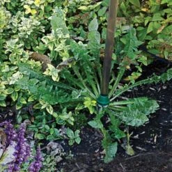 Weed Wand Magic Applicator With 3 Replacement Tips -Garden Tools wwata 3